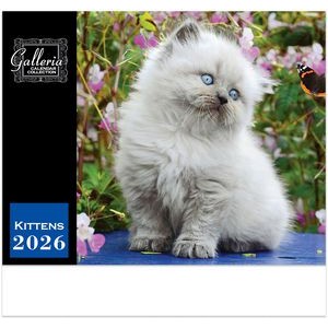 Galleria Wall Calendar 2026 Kittens Calendar