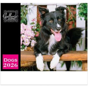 Galleria Wall Calendar 2026 Dogs Calendar