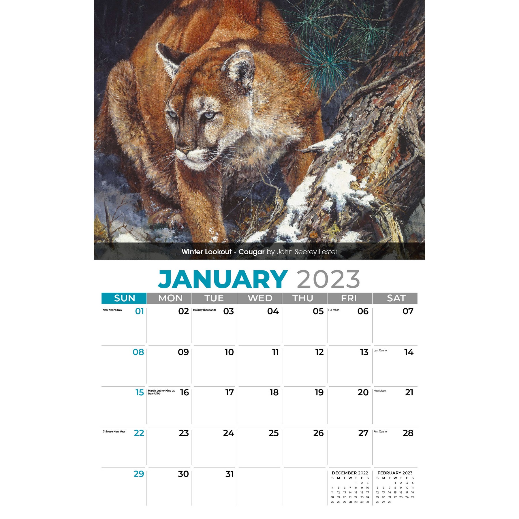 Galleria Wall Calendar 2023 Wildlife Portraits – Armand Advertising, LLC