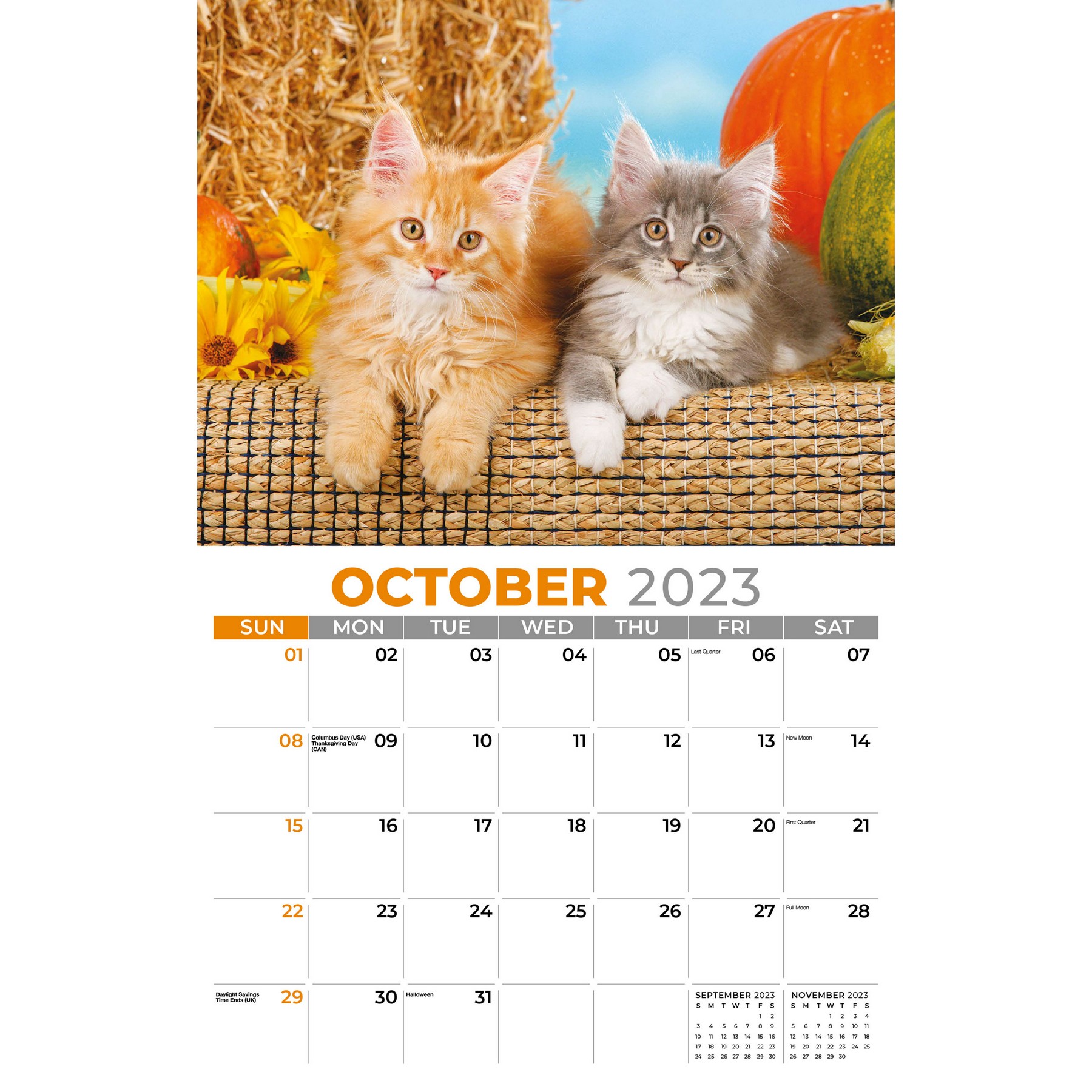 Galleria Wall Calendar 2023 Kittens Calendar