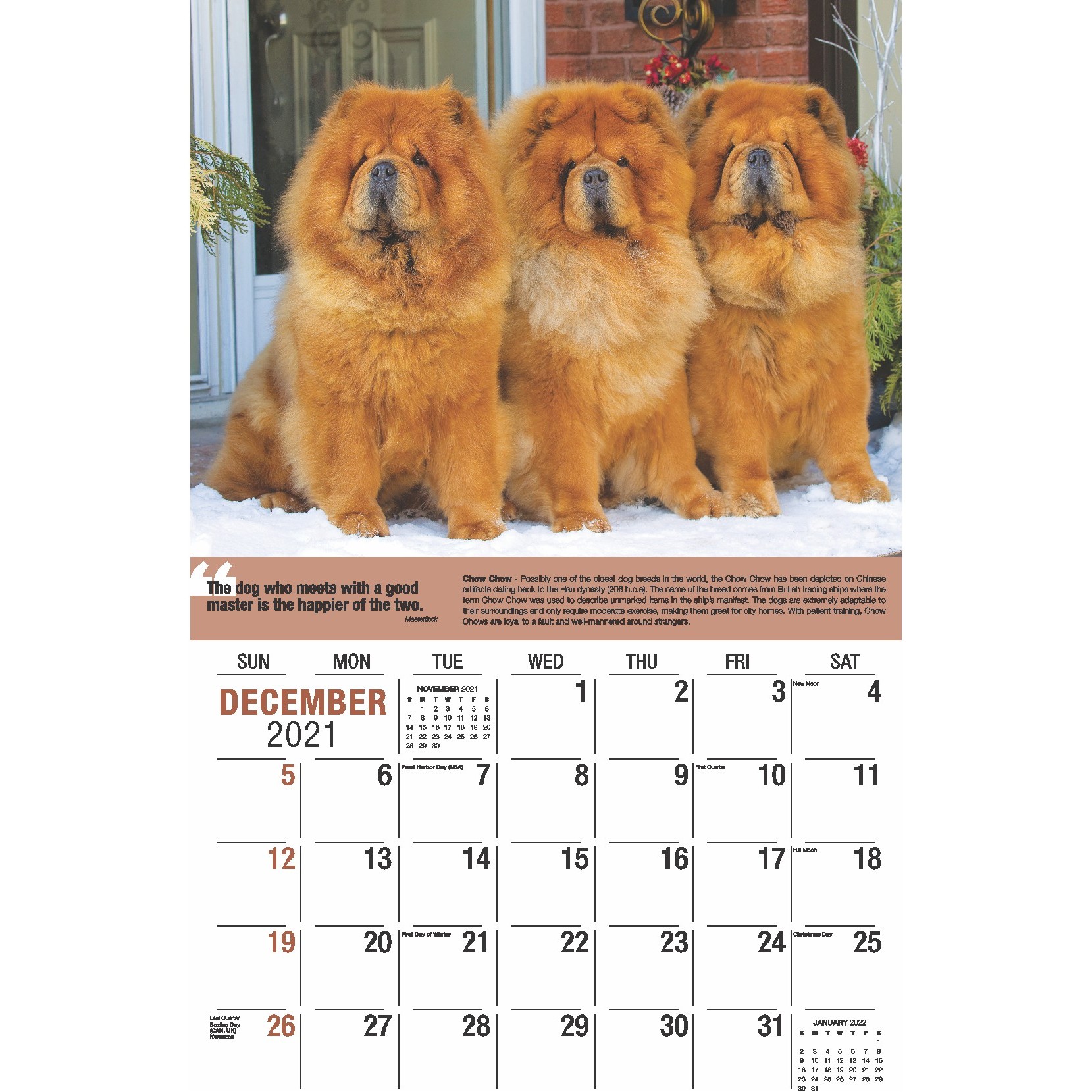 Border Collie Puppies Calendar- Puppies Calendar - Dog Breed Calendars -  2022 - 2023 wall calendars - 16 Month by Avonside