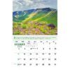 Galleria Wall Calendar 2023 Go Green Calendar - Image 13