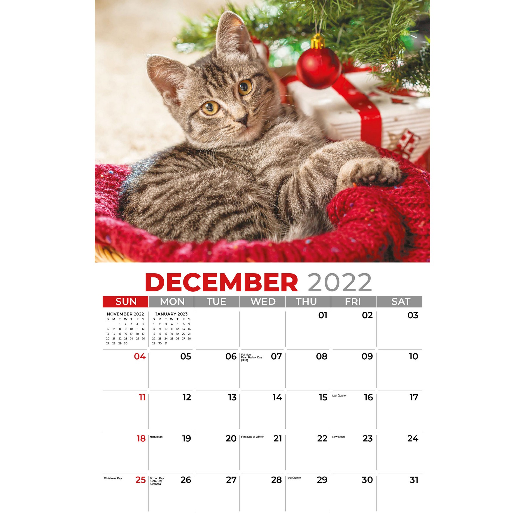 Galleria Wall Calendar 2023 Kittens Calendar