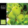 Galleria Wall Calendar 2023 Go Green Calendar