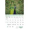 Galleria Wall Calendar 2023 Go Green Calendar - Image 3