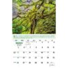 Galleria Wall Calendar 2023 Go Green Calendar - Image 4