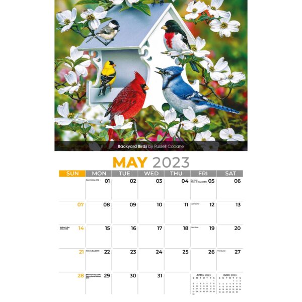 Galleria Wall Calendar 2023 Garden Birds - Image 6