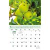 Galleria Wall Calendar 2023 Go Green Calendar - Image 7